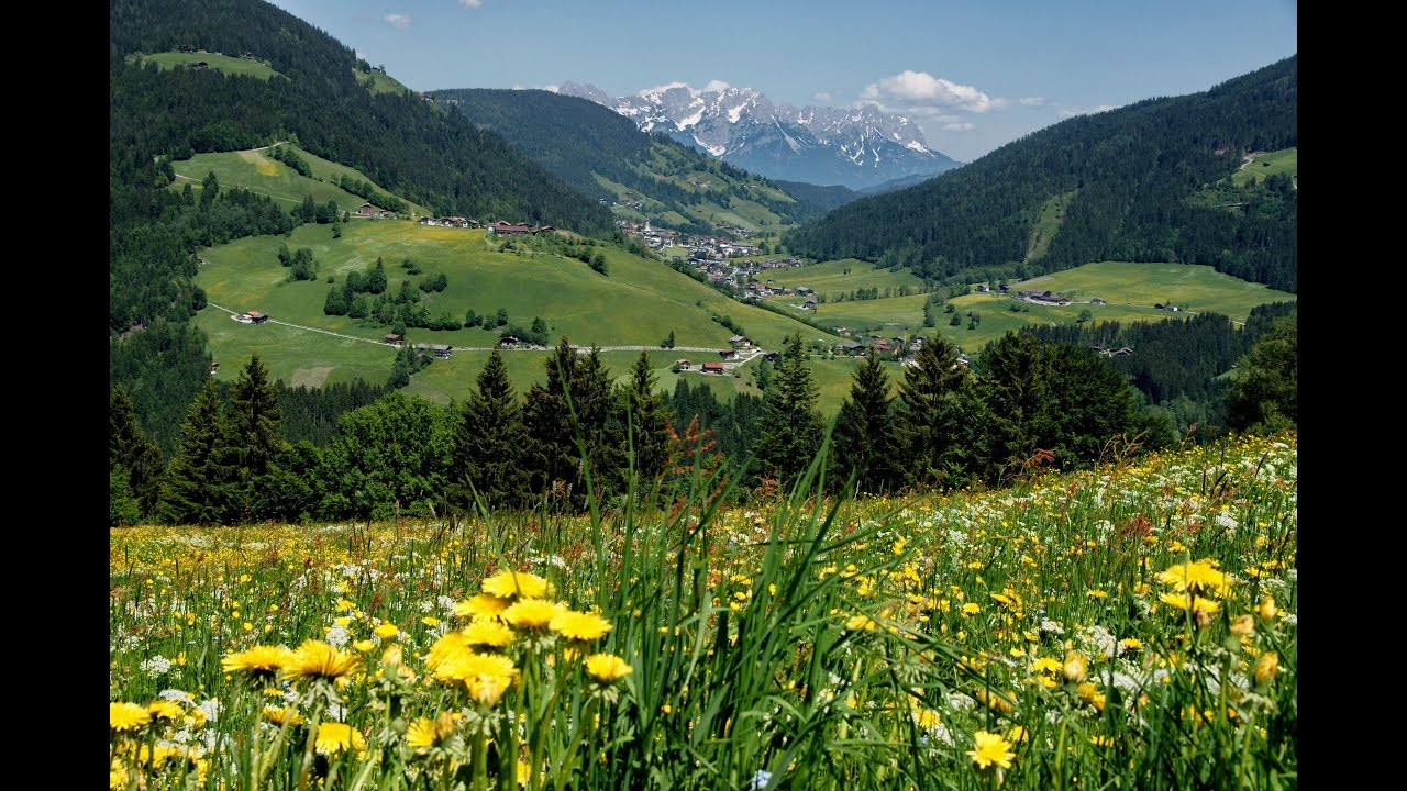 Wildschönau
