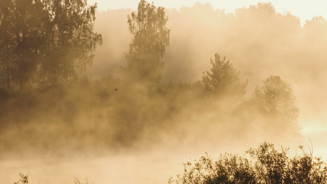 Waldviertel