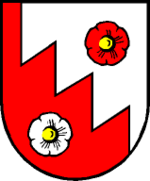 Hollersbach im Pinzgau